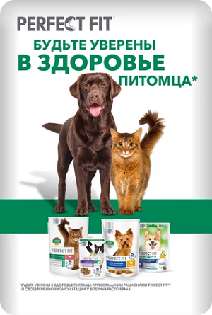 Корм для животных