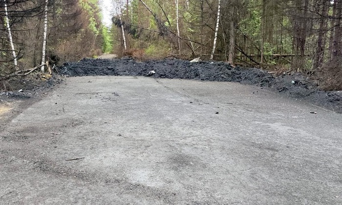 Дубки посёлок Першино Дубки посёлок Першино